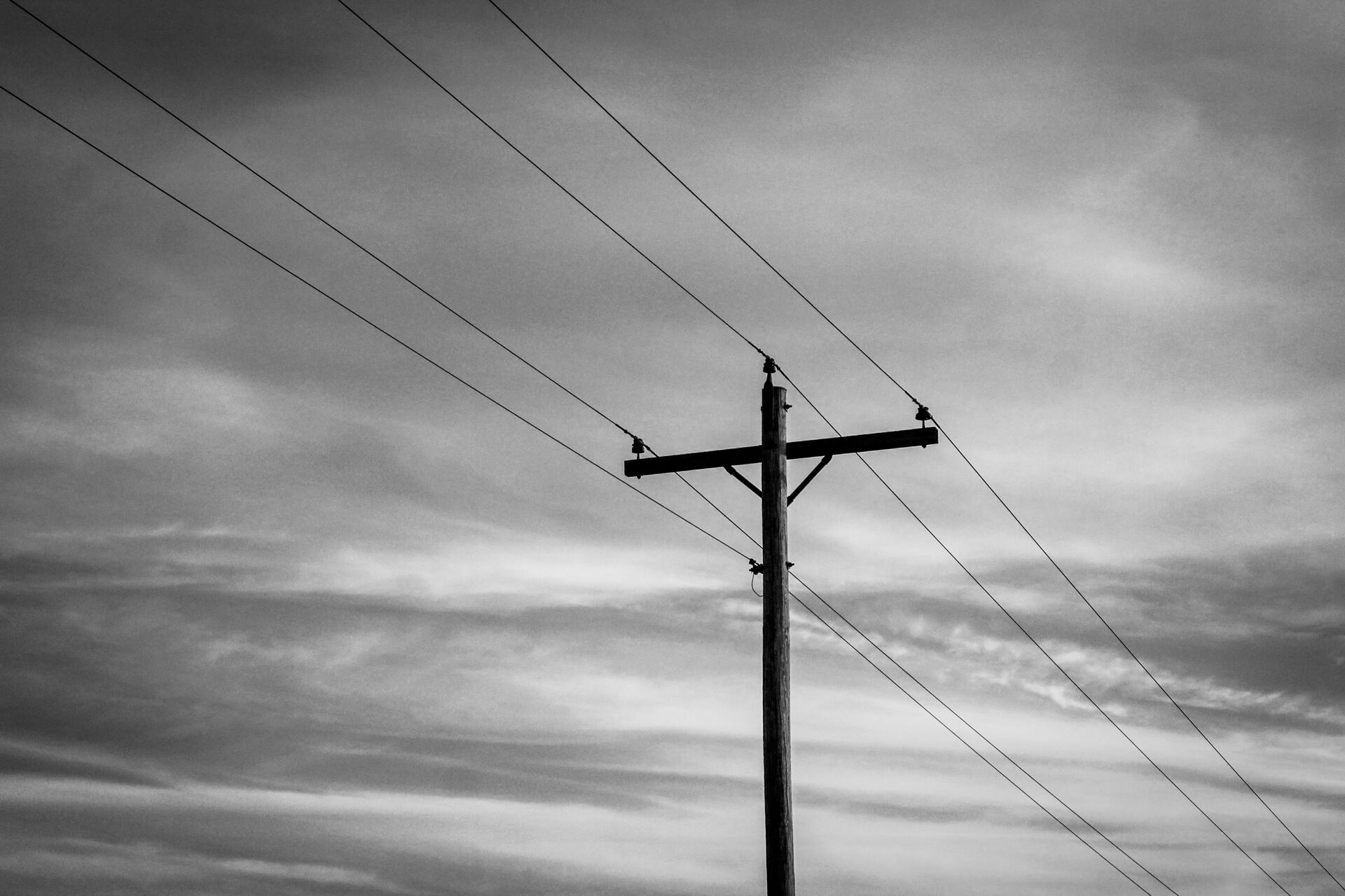 pexels-d-gibson-9250887